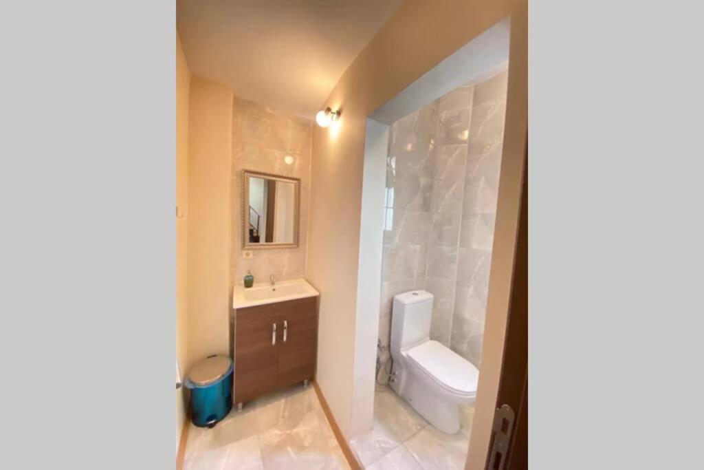 Duplex Suite Sultanahmet Provincia di Provincia di Istanbul Esterno foto